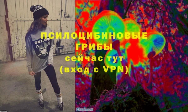 эйфоретик Абаза