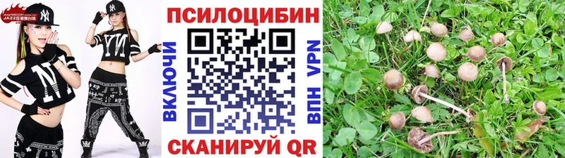 цены   Новое Девяткино  Псилоцибиновые грибы Magic Shrooms 